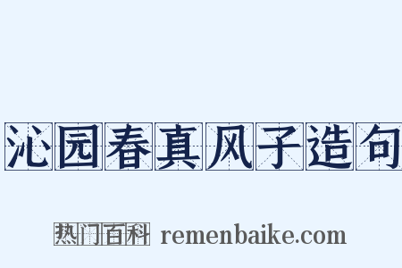 沁园春真风子造句是什么意思的图片